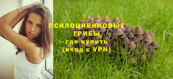 соль ск Володарск