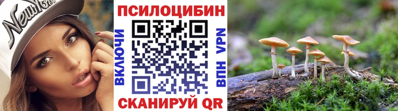 Псилоцибиновые грибы мицелий  Петропавловск-Камчатский 